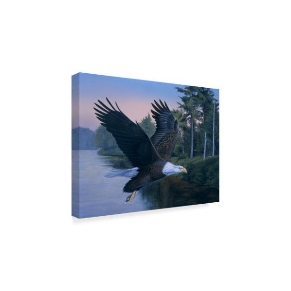 Rusty Frentner 'Eagle Soaring' Canvas Art,24x32
